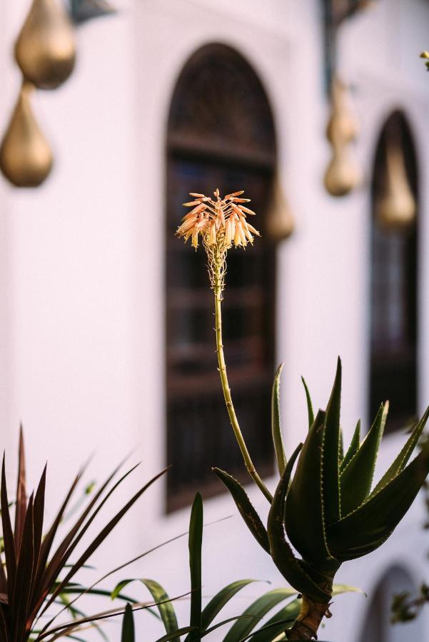 Riad Maison Bleue And 4*
